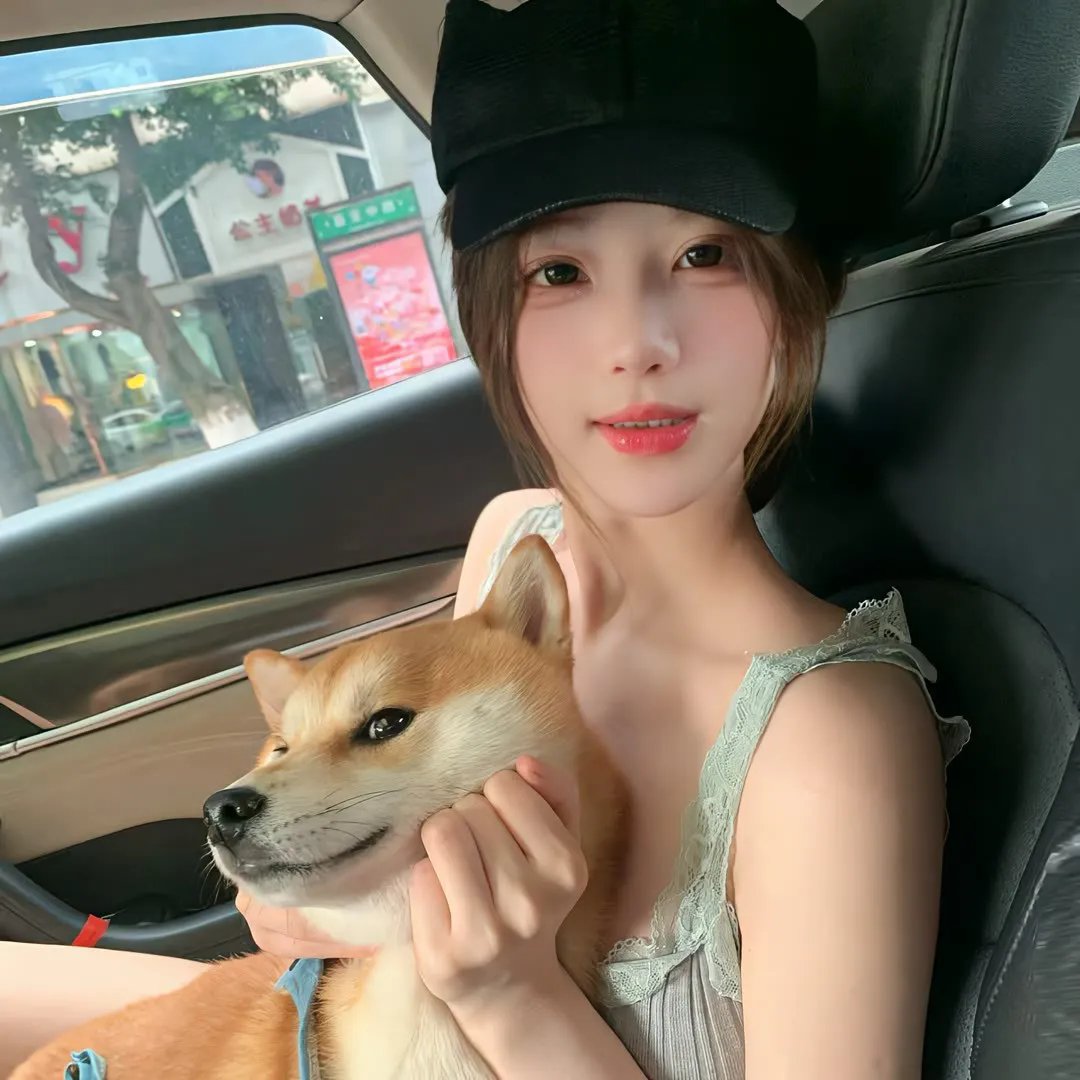 我是海鸥